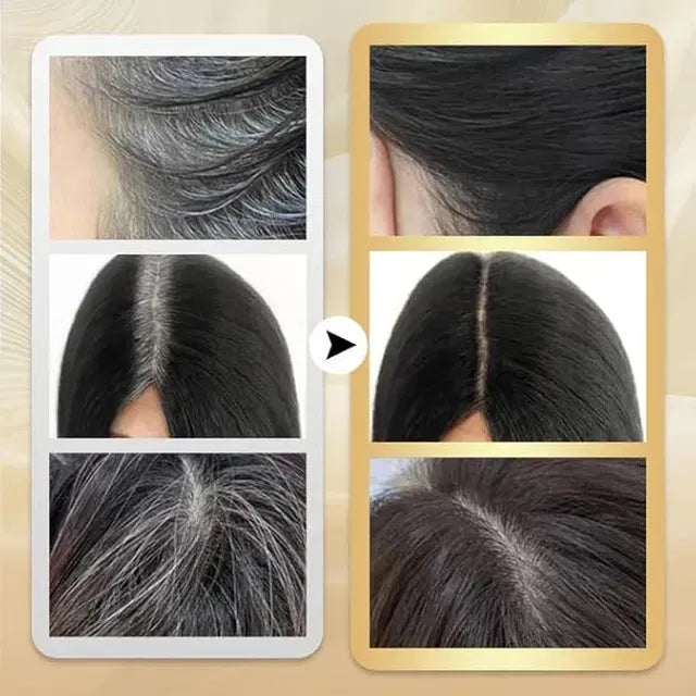 Covering White Hair is Simple and Convenient 20gm - Black